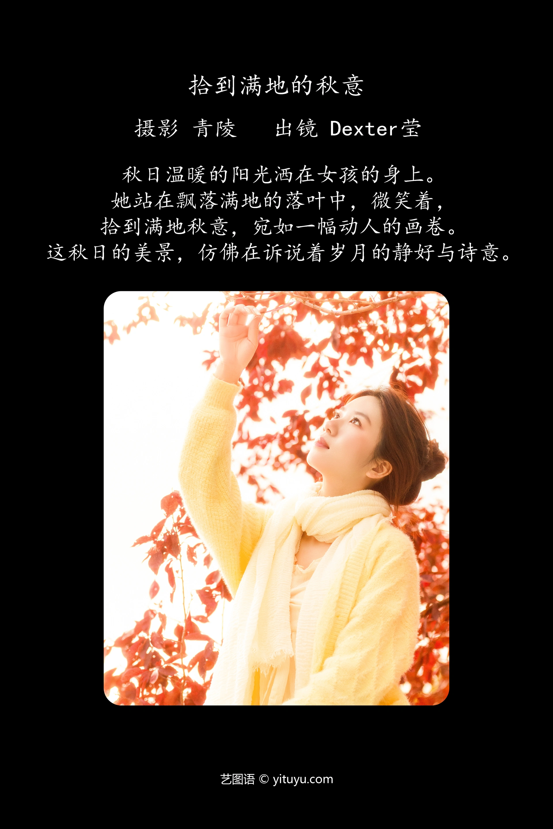 [YITUYU艺图语]2023.12.07 拾到满地的秋意 Dexter莹 0